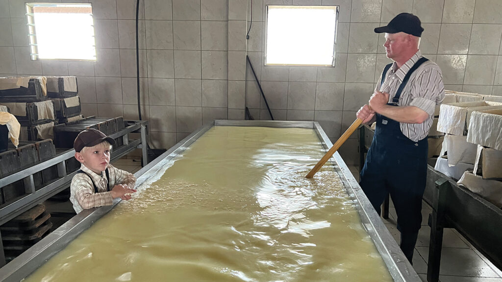 A worker separates the curds and whey at the Swift Current Colony’s cheese factory. Milk and milk processing are a major source of income for the colony. — Patricia Funk/Die Mennonitische Post