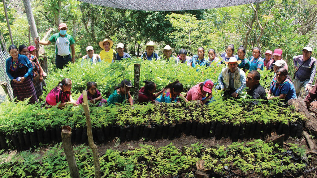 Community members in Baja Verapaz, Guatemala, with tree seedlings funded by Mennonite Men’s JoinTrees program in August. — EPIC