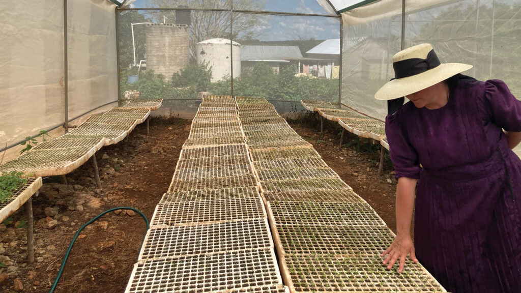 A Mennonite greenhouse owner inspects seedlings in Mexico. — Lars Åkerson