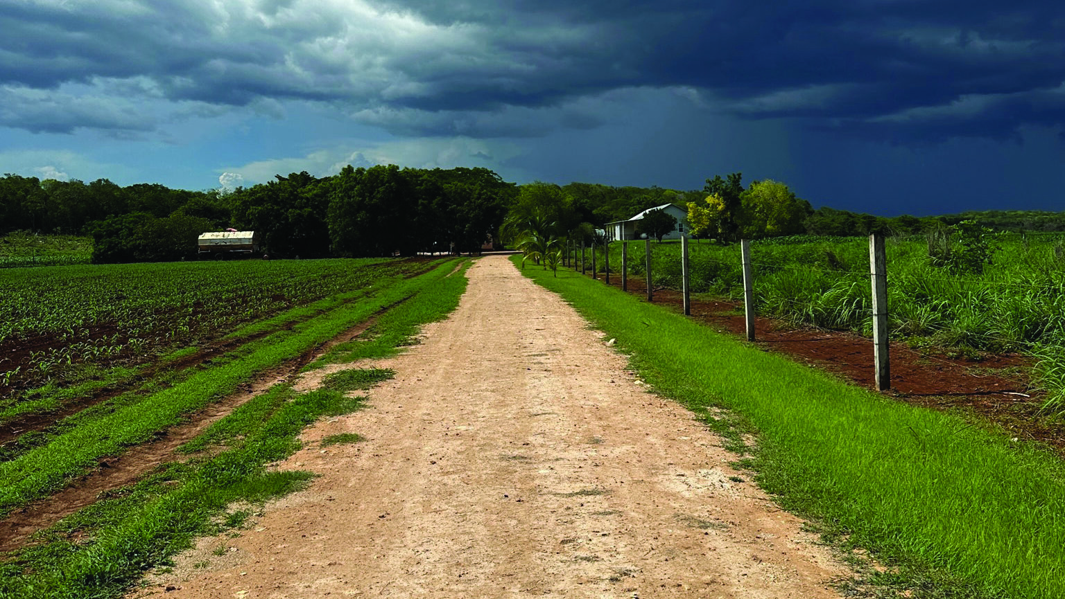 Rain clouds loom over a Mennonite colony in Campeche state, Mexico, where Indigenous Maya farmers and neighboring Colony Mennonites are working to address how their differing agricultural practices might be able to coexist. Photo by Lars Åkerson.
