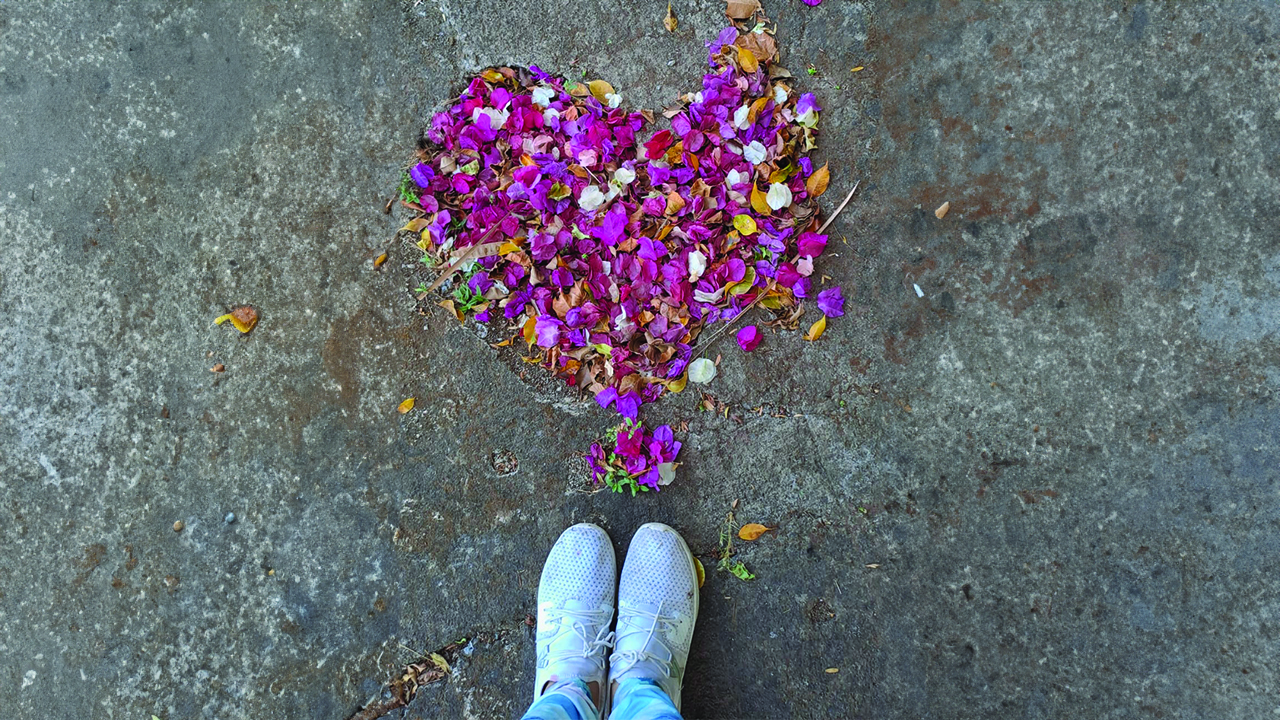 Foto tomada por Wendy Vado