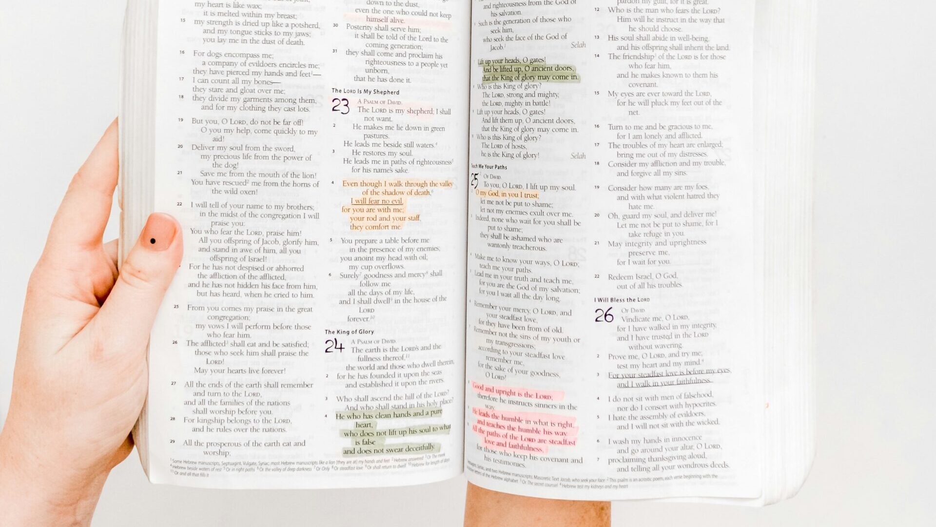 Photo by Sincerely Media on Unsplash.