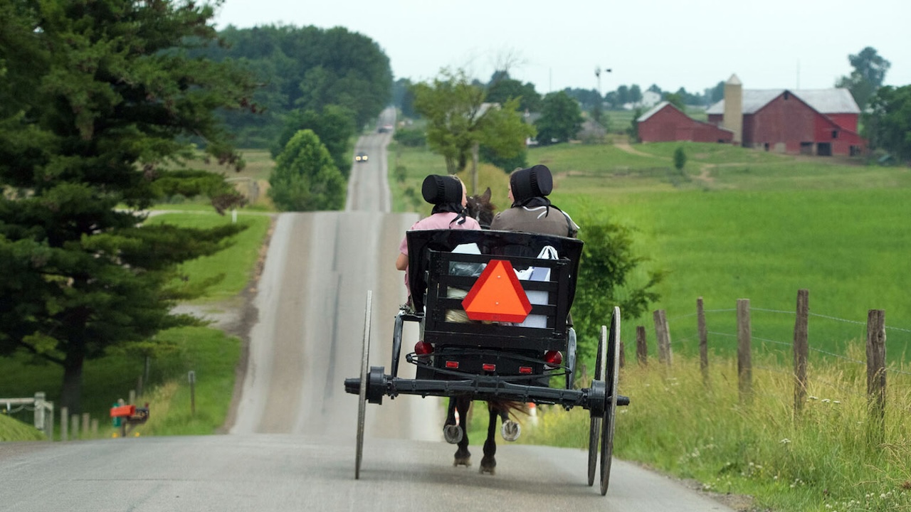 Two women in black bonnets riding in an open buggy