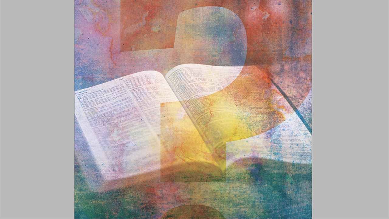 Illustration: Hannah Gerig Meyer; photo: Aaron Burden on Unsplash