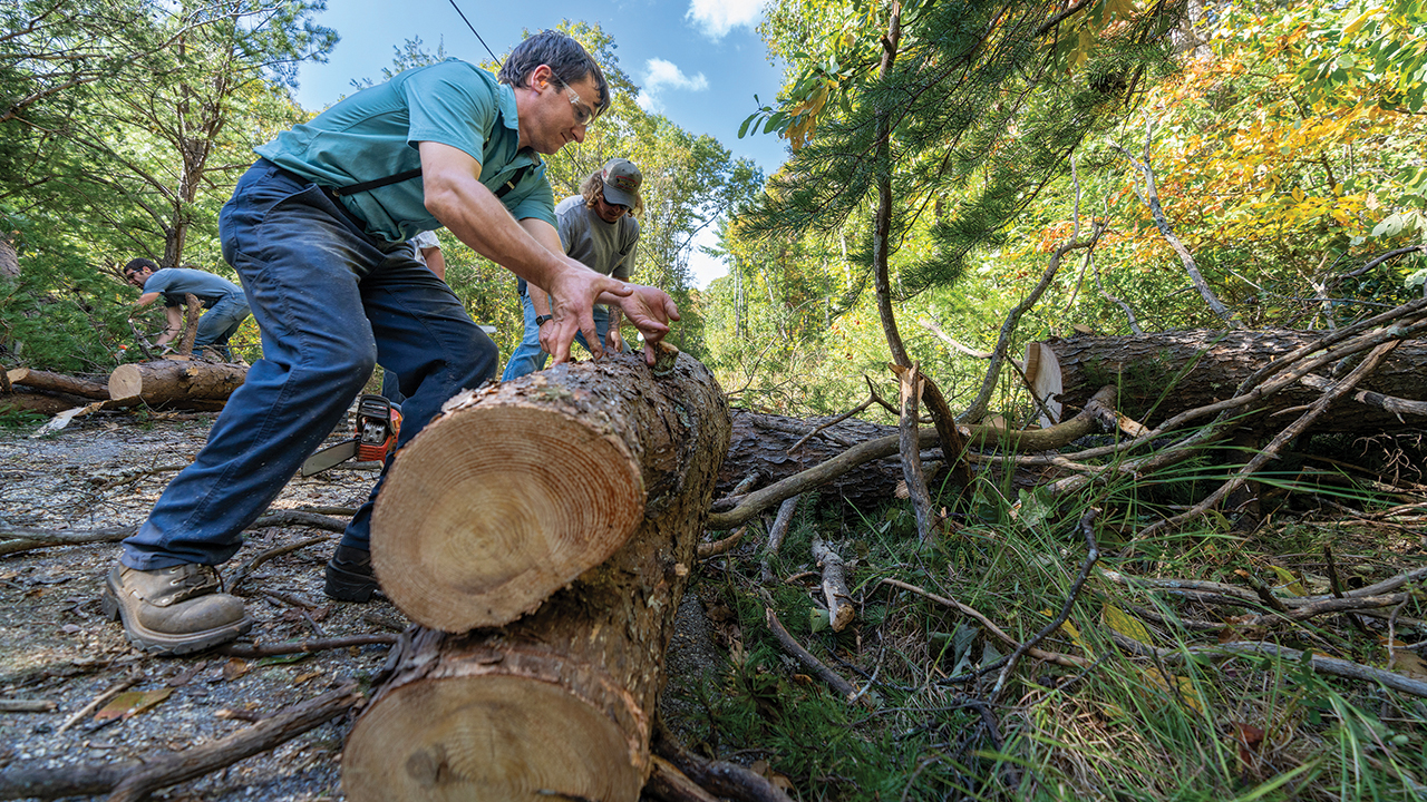 Mennonite Disaster Service volunteers work to clear a road of tree debris Oct. 5 in North Carolina. — Mennonite Disaster Service