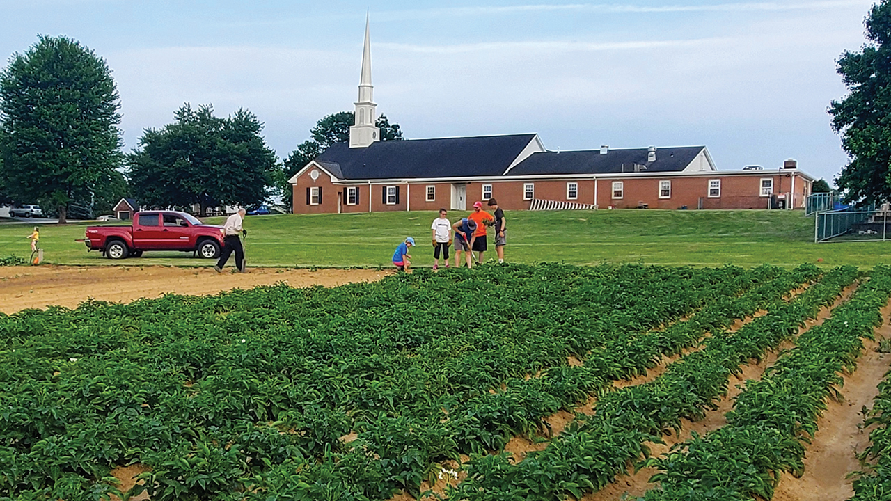 Volunteers work in the potato patch of the Sprouts for Peace Garden at New Holland Mennonite Church. The church building, built in 1974, is in the background, with the Early Learning Center educational wing and playground on the right. — Dawn Ranck-Hower