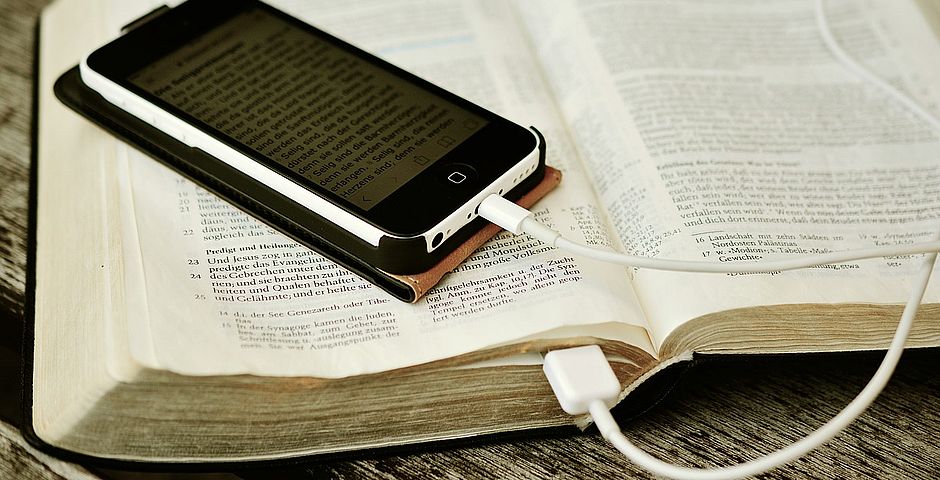 Conger Design Pixabay