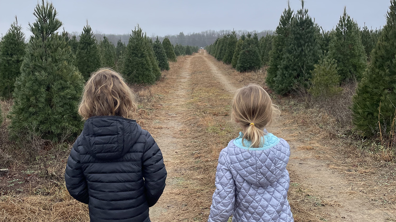 We headed out on a Saturday afternoon to select our Christmas tree. — Jenna Liechty Martin