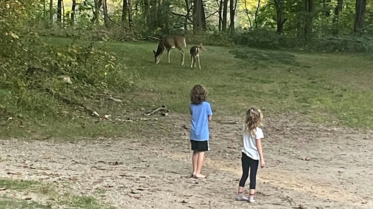 Throughout the fall, a family of deer hung around our home. —Jenna Liechty Martin