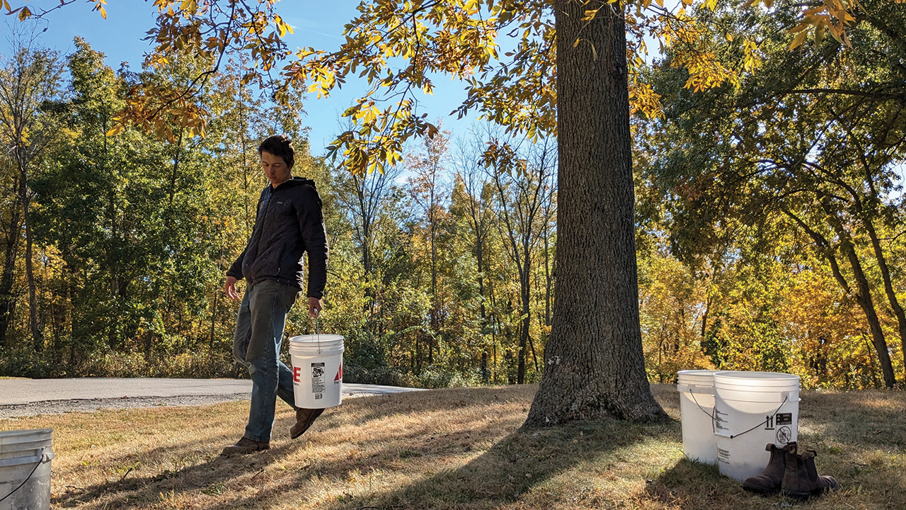 Levi Geyer fills his buckets under one of the many yellowbud trees at Kent Park near Iowa City, Iowa. Throughout the fall, Geyer visited the park at least once a week. On his best day of harvesting, he collected 78 gallons of nuts by himself. — Sierra Ross Richer