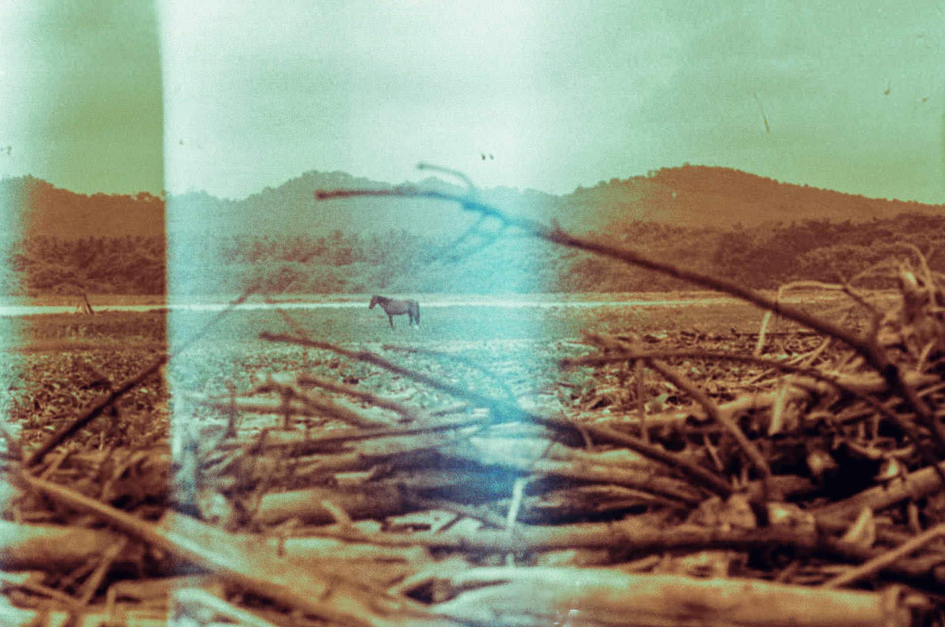 Foto por Carolina Zambrano