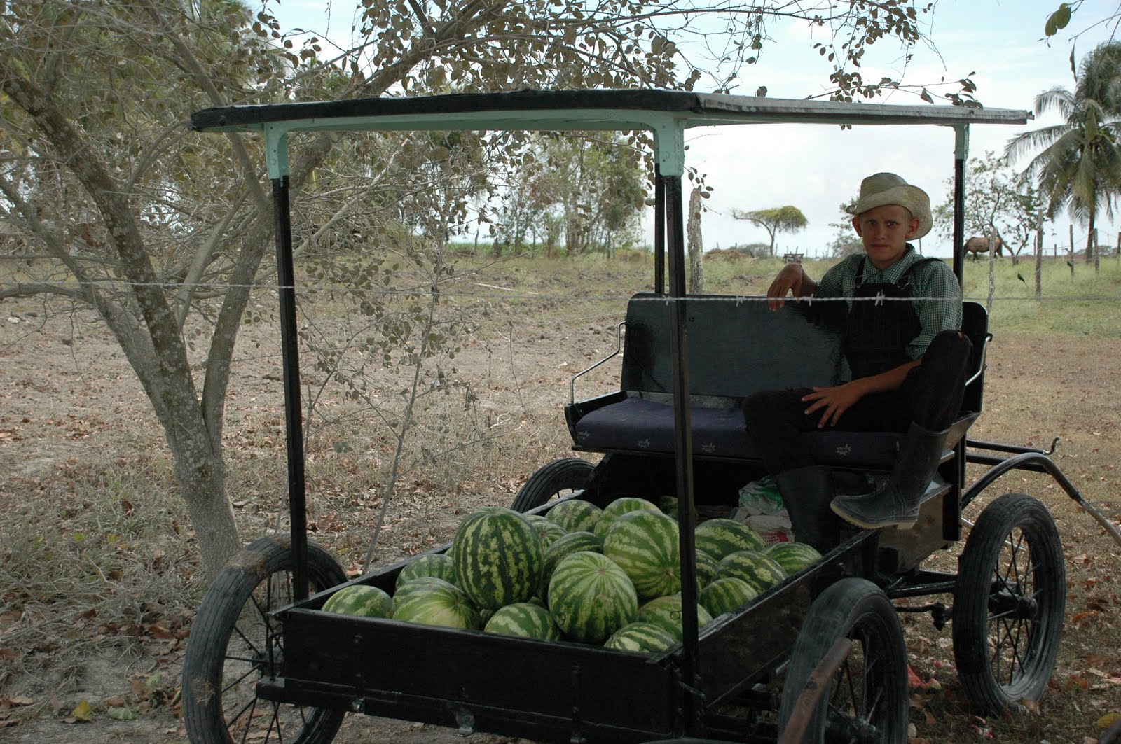 Jovencito menonita ofrece sandías en Shipyard, OW. - Foto de Desde Belice