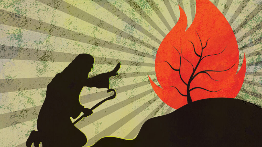 HOLY GROUND — The bush was blazing yet not consumed (Exodus 3:2). — Bibleboxone