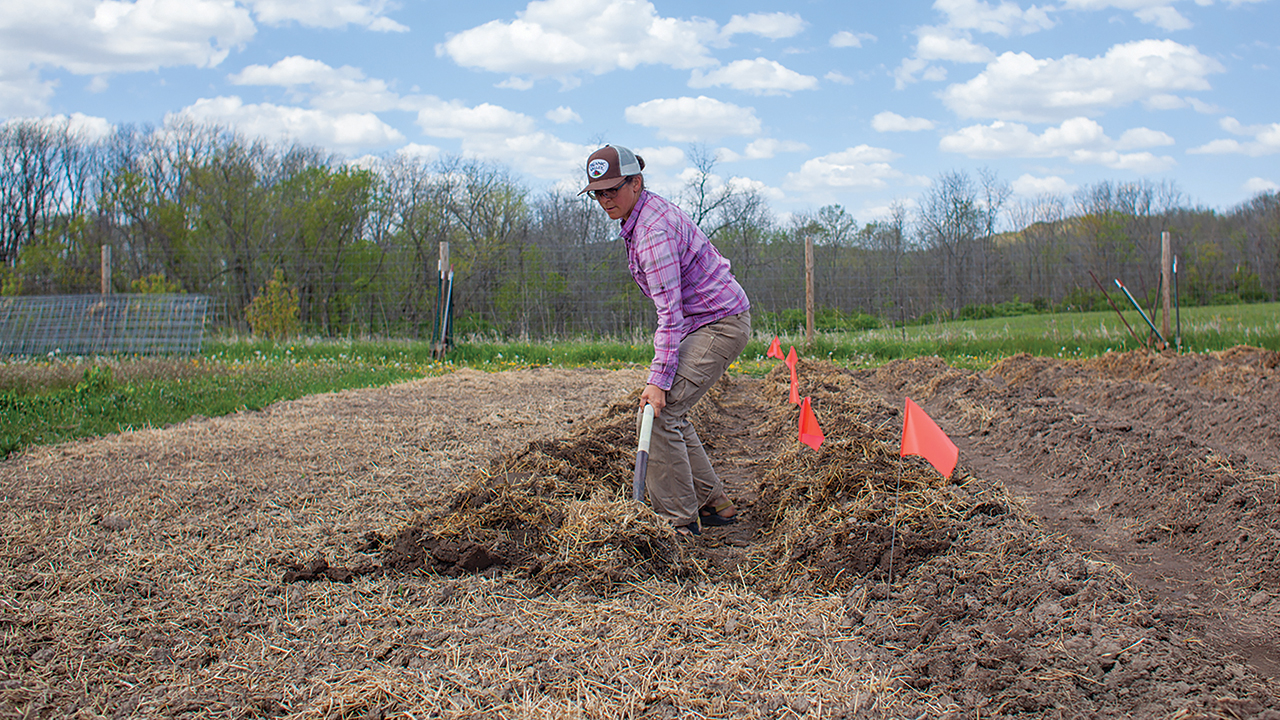 Humble Hands Harvest practices no-till organic vegetable farming. Hannah Breckbill is building raised beds by hand. — Rory Photography