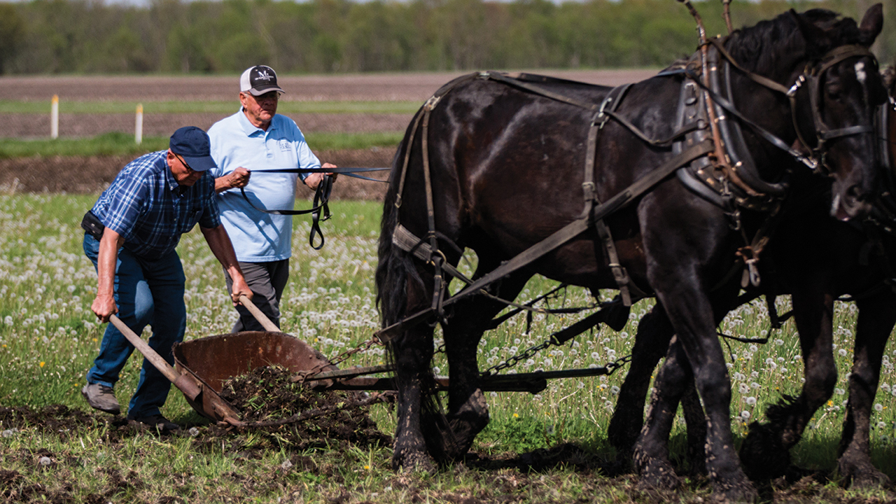 Larry Yoder, left, and Levi Yoder use a slip scraper pulled by horses to break ground April 25 for construction of a visitors center and museum at the Illinois Amish Heritage Center near Arthur. — Illinois Amish Heritage Center