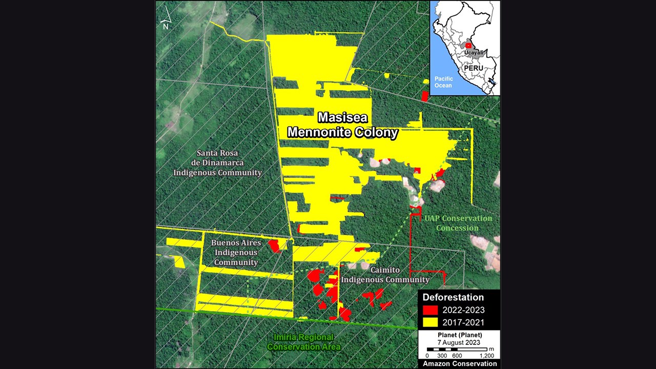 Environmental groups have been monitoring deforestation at Masisea Mennonite Colony since 2017. — Monitoring of the Andes Amazon Program
