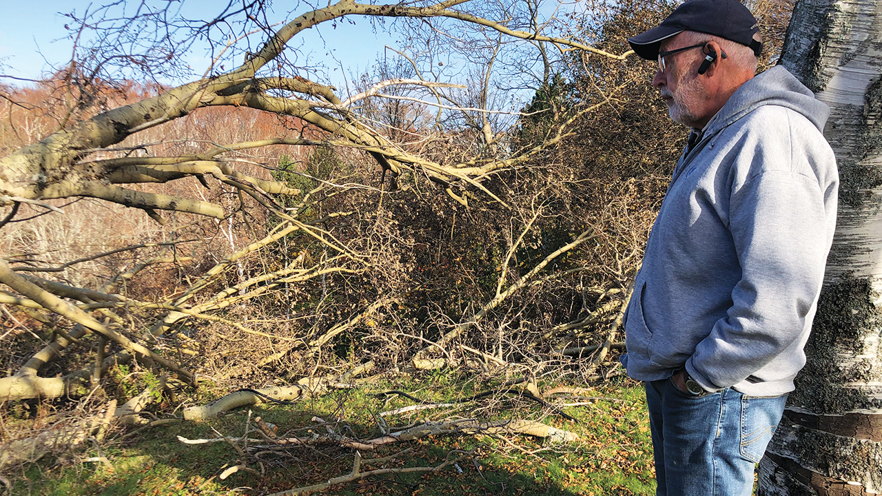 Nick Hamm surveys trees damaged by Hurricane Fiona in Glace Bay, Nova Scotia, in October 2022. — John Longhurst/MDS