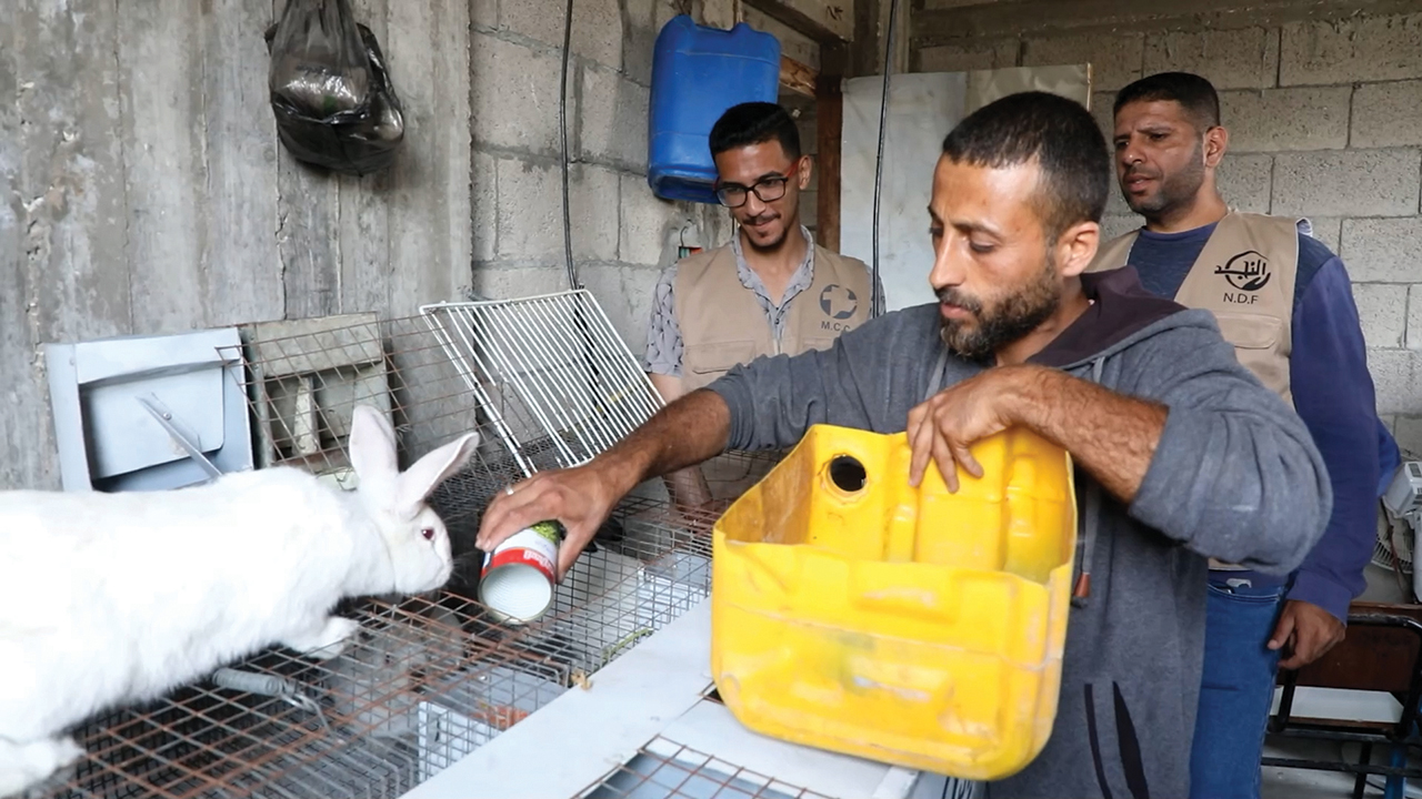 Hasan pours grass, dried pasta and other food he could scrounge into a dish for his rabbits to eat. Staff from Al-Najd Developmental Forum watch, surprised to find any rabbits that survived the Israeli military invasion of Gaza. — Mahmoud Miqdad/Al-Najd