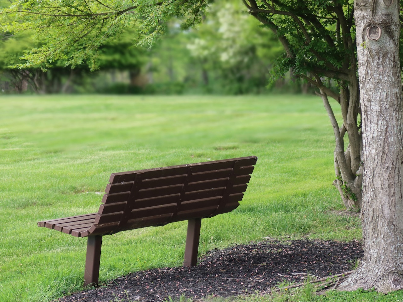 brown bench in a field of green grass