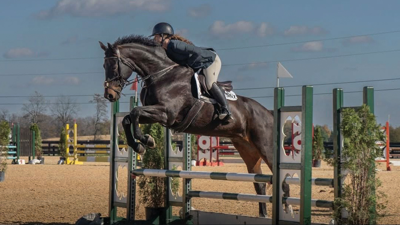Lydia Harrison competes in an equestrian event. — Matthew Harrison Photography