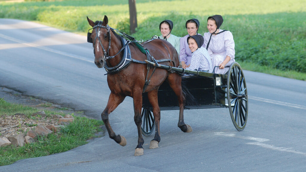 Old Order Mennonite young women on the move near Ephrata, Pa., Aug. 4, 2007. — Dale D. Gehman