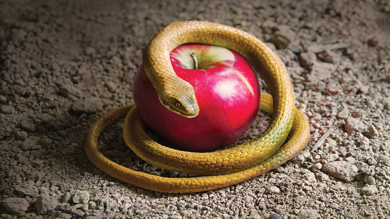 ArtMari/Shutterstock