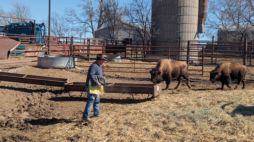 “Farming and ranching is highly sustainable if you’re doing it in concert with Mother Nature,” Dick Gehring says. — Tim Huber/AW