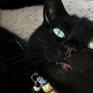 Laney: “She has seen you through so much.” — Caroline Harkins McCarty