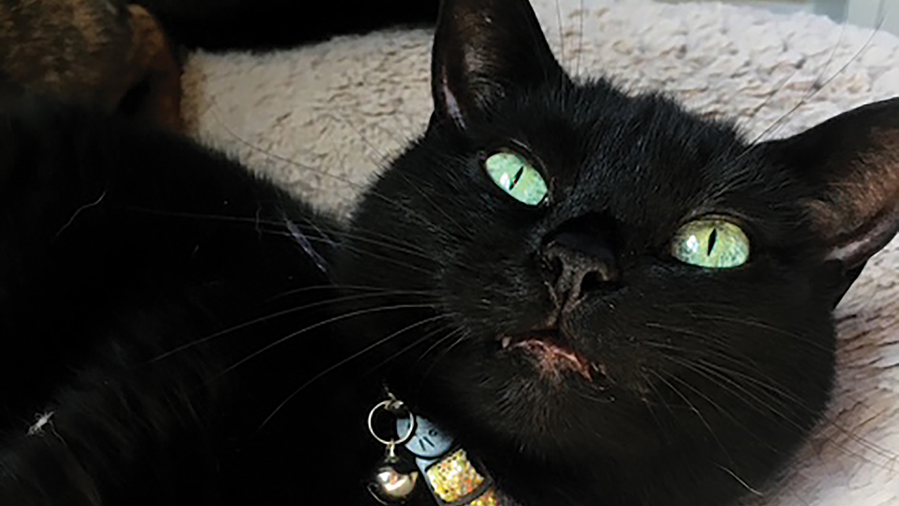 Laney: “She has seen you through so much.” — Caroline Harkins McCarty