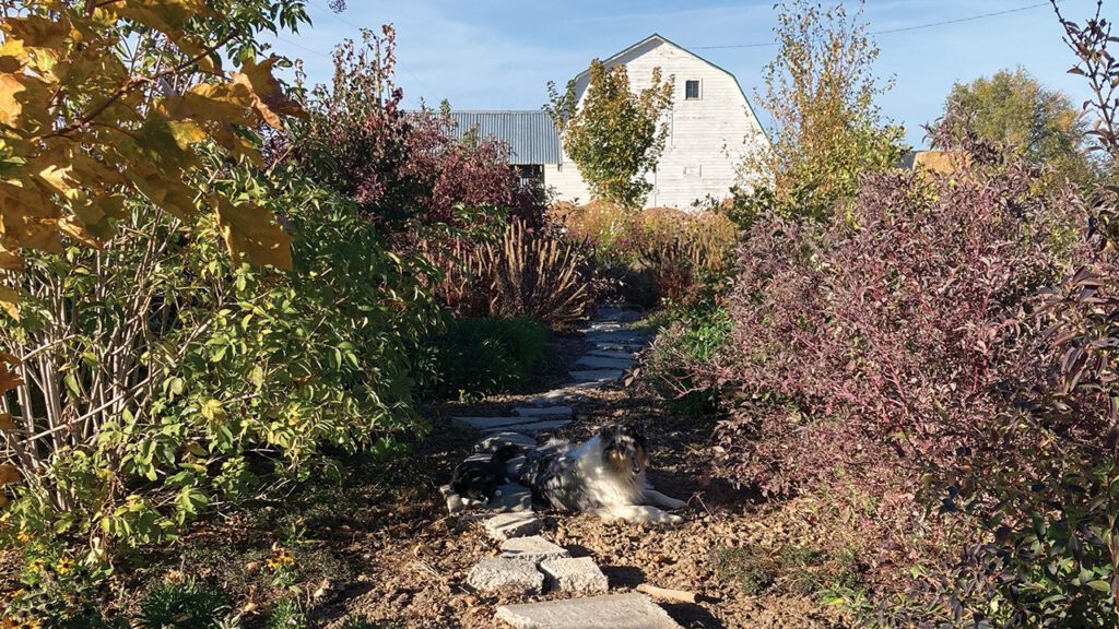 Lottie in the shadows. — Sarah Hooley