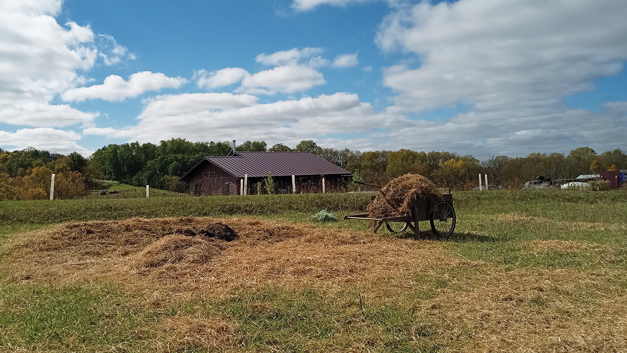 Hannah Breckbill says: “A hand cart loaded with waste hay to use for mulching garlic (why use the diesel of a tractor when my body can do the work?) with tree tubes and my house in the background.” — Courtesy of Hannah Breckbill