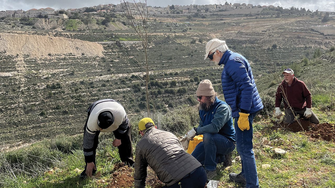 Delegation members plant olive trees with Daher Nassar, at left. In the background is one of the five Israeli settlements that surround the Nassars’ farm. — Holly Harris/Mennonite Action