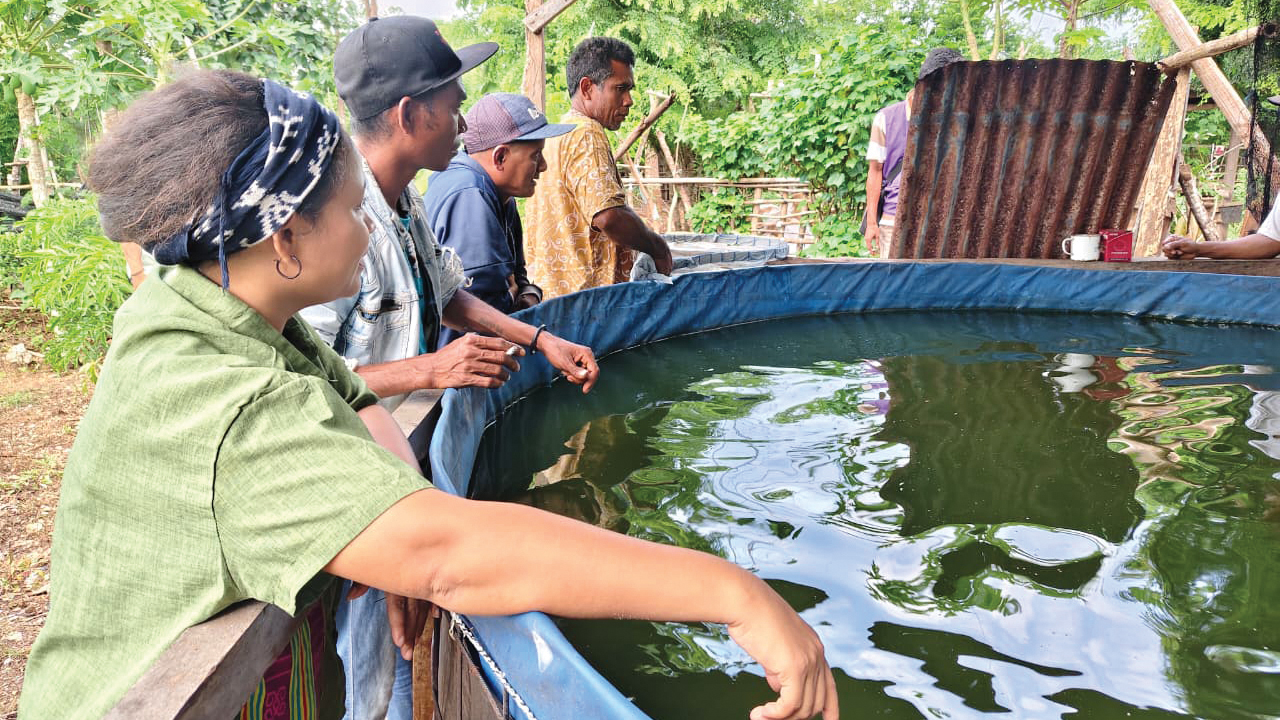 SOPAN director Yustin Damadia, Marhen Mdamandolung, Joni Kopa Ndahawali and Muka Hamba Kodi, a community health worker, check an above-ground catfish pond in Napu Village. — Yonatha/SOPAN